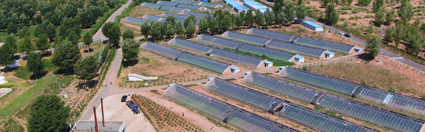 67381����-��Ϸ�ٷ���վ